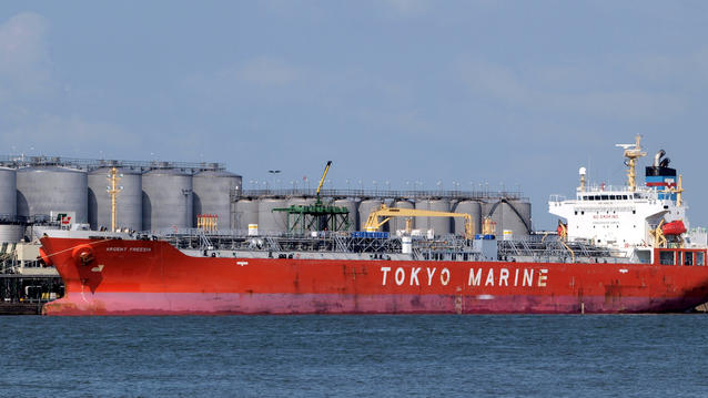 tokyo marine